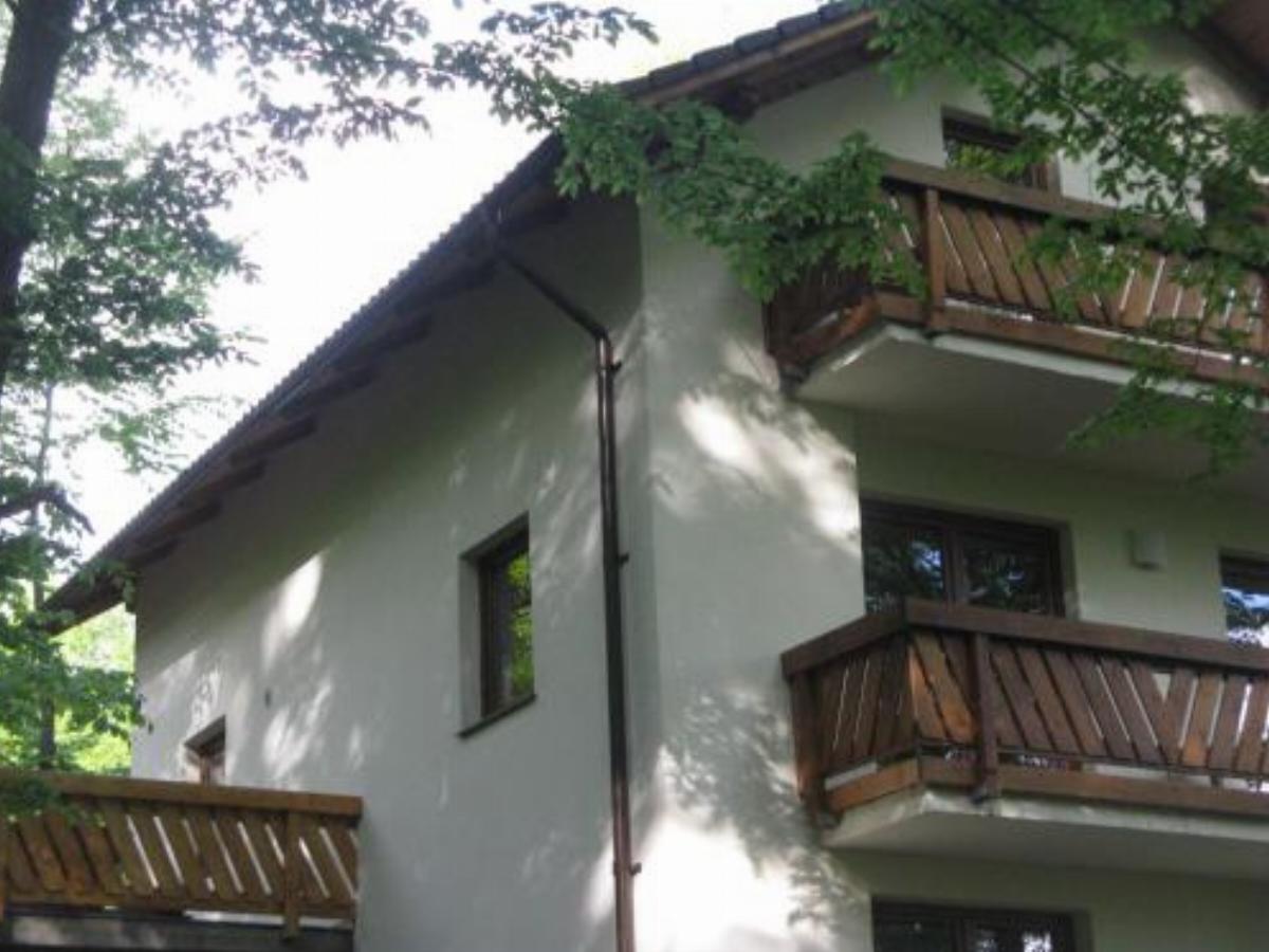 Casa de vacanta Mogosa Hotel Baia-Sprie Romania