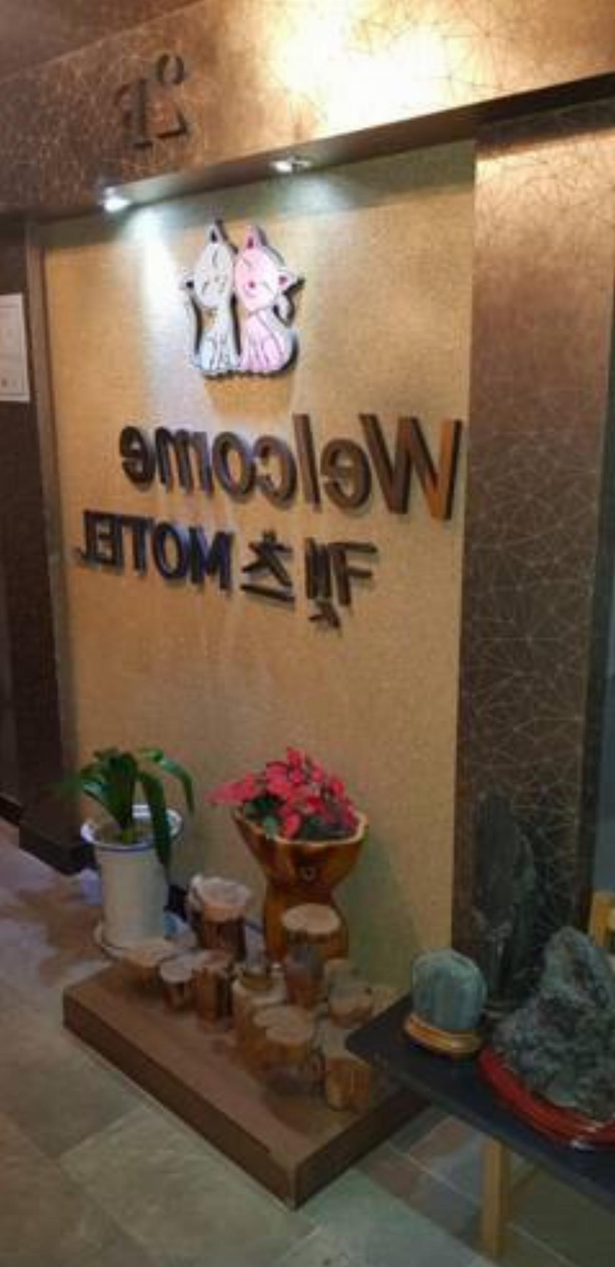 Cats Motel Hotel Gangneung South Korea