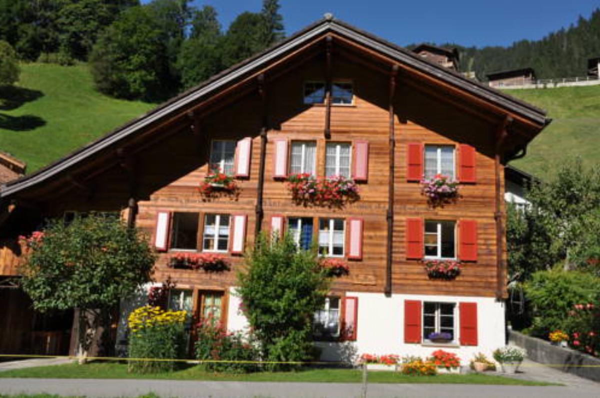 Chalet Allmegrat Hotel Adelboden Switzerland