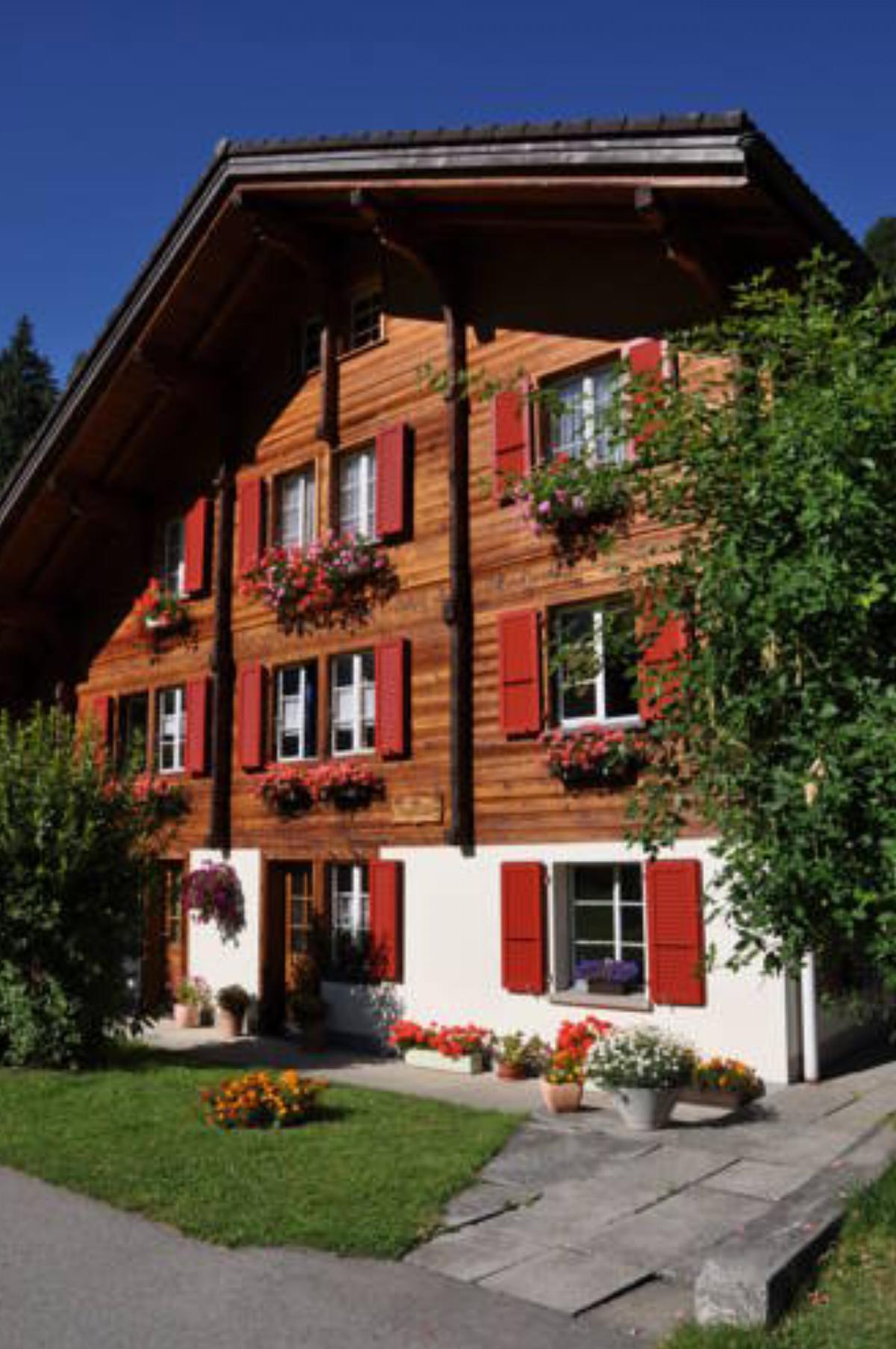 Chalet Allmegrat Hotel Adelboden Switzerland
