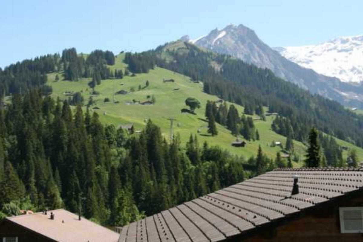 Chalet Silky Hotel Adelboden Switzerland
