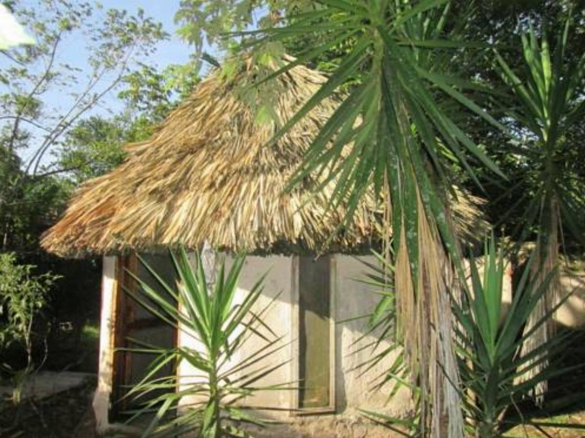 Chaya Maya Jungle Lodge Hotel Teakettle Village Belize