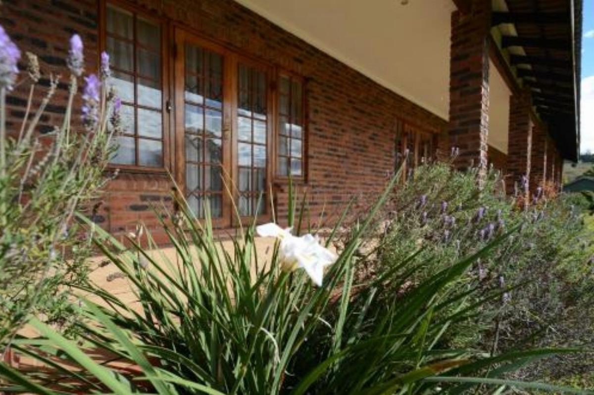Chillifields Guesthouse Hotel Hillcrest South Africa