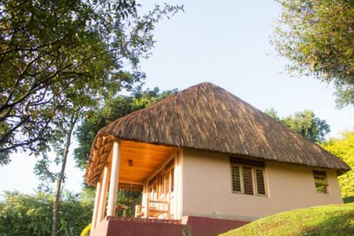 Chimpanzee Forest Guesthouse Hotel Kibale Forest National Park Uganda
