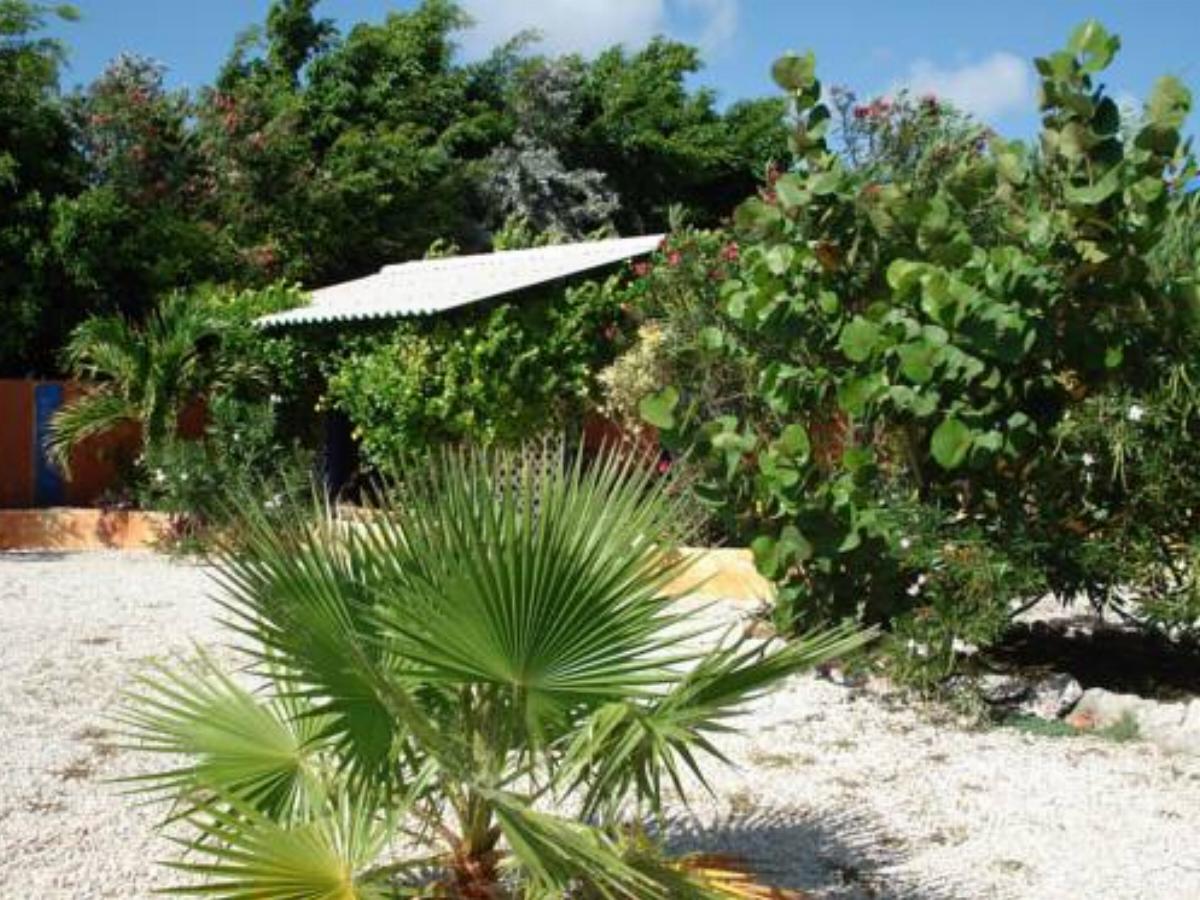 Coco Palm Garden Hotel Kralendijk Bonaire St Eustatius and Saba