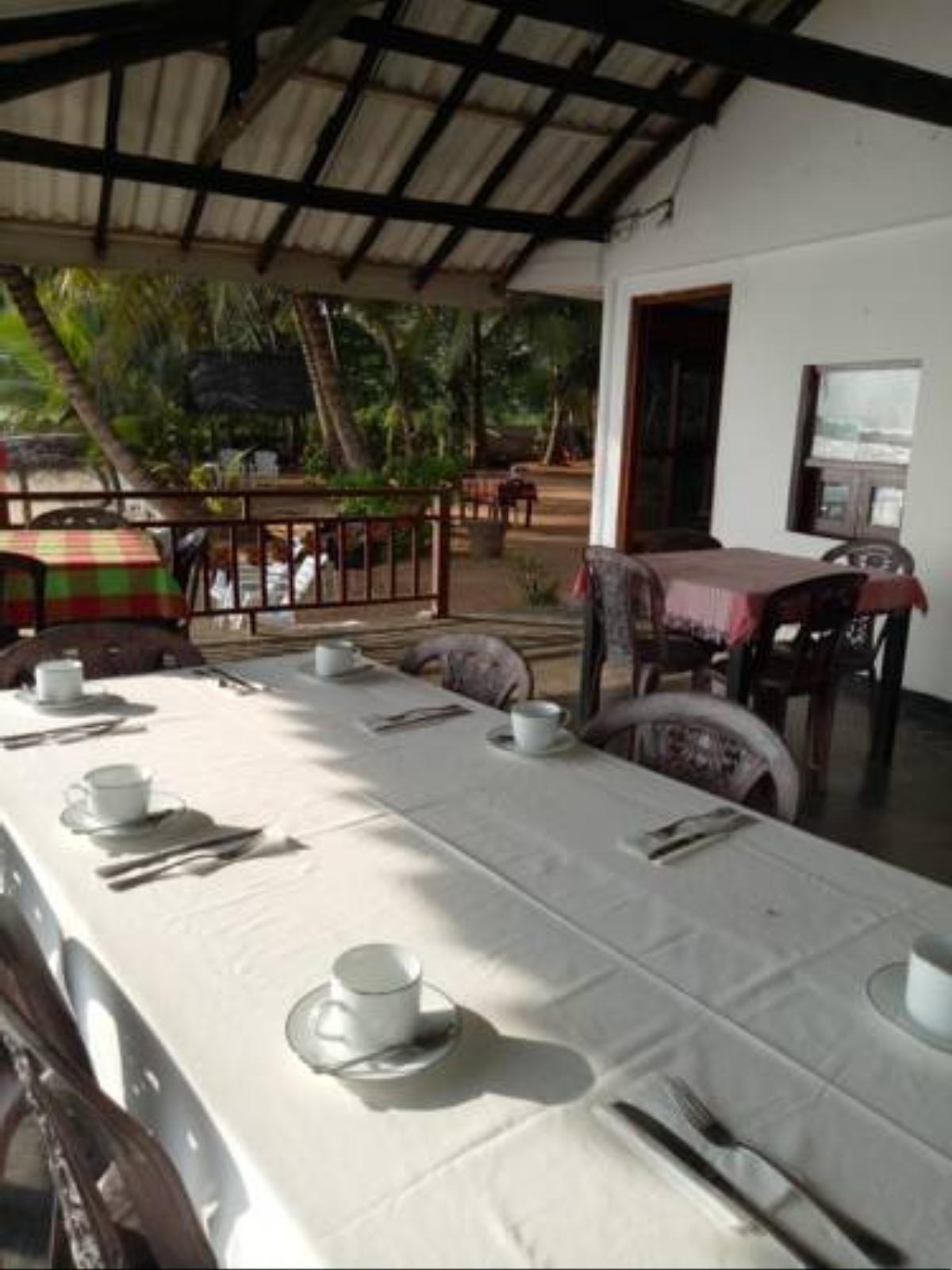 Coconut Palm Guesthouse Hotel Dikwella Sri Lanka
