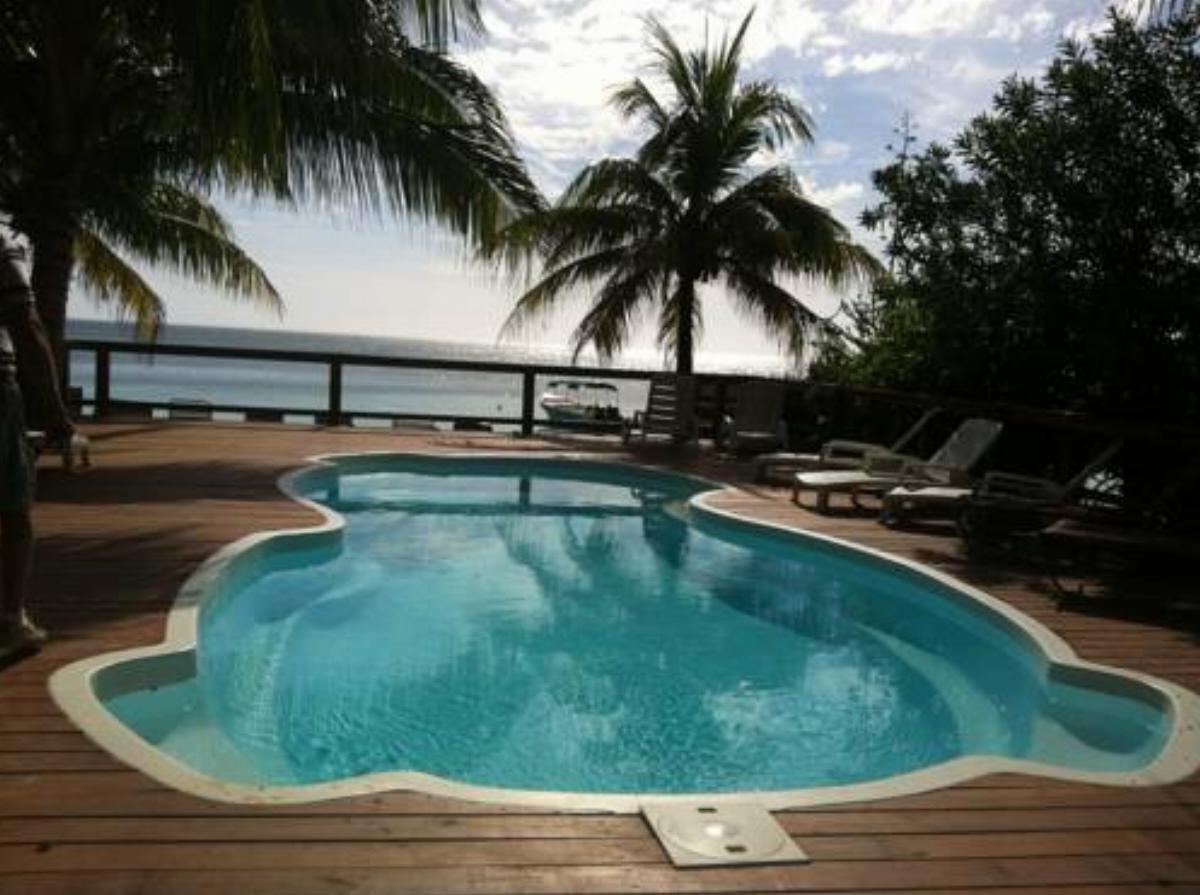Coconut Tree West Bay Hotel West Bay Honduras