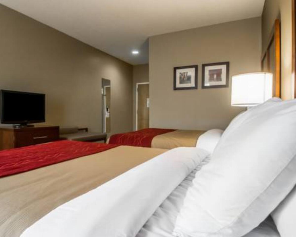 Comfort Inn Amite Hotel Amite USA
