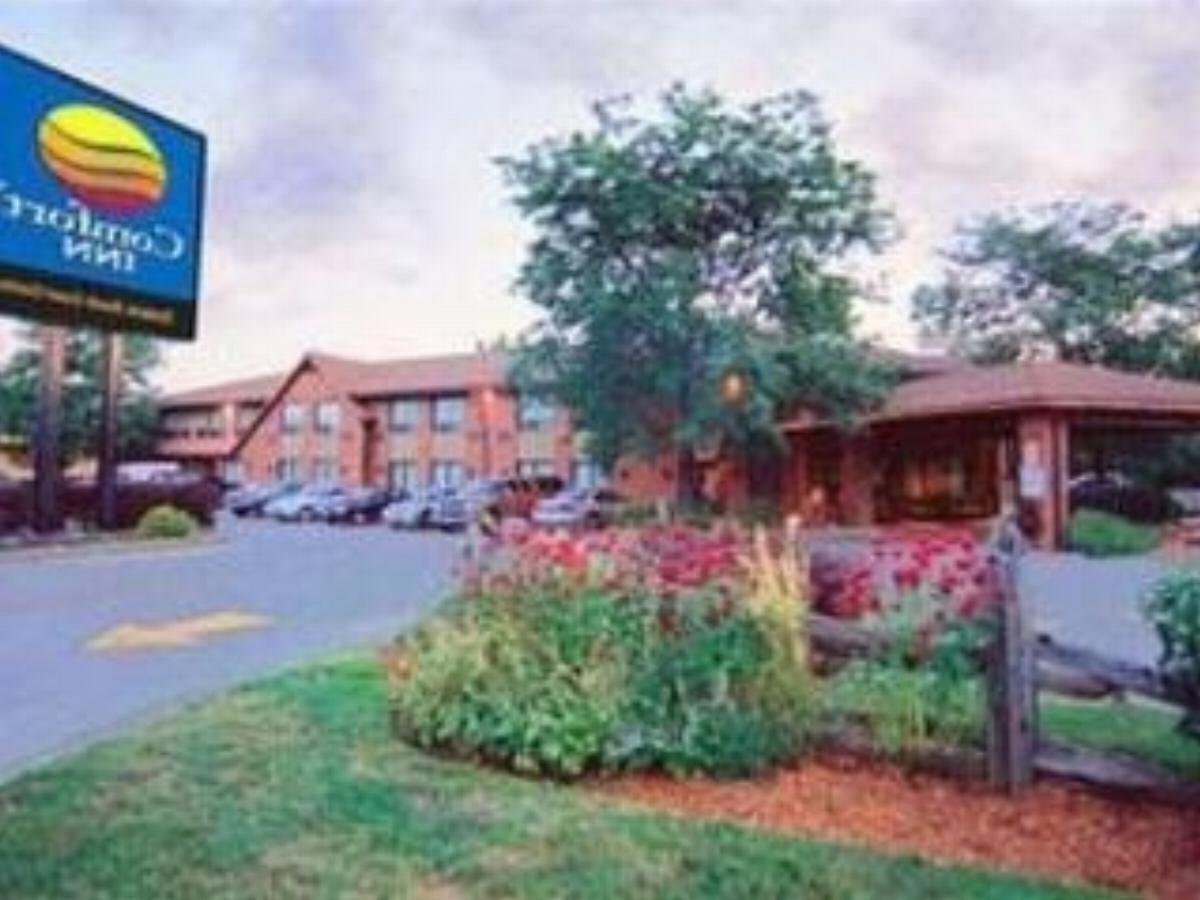 Comfort Inn (Simcoe) Hotel Hamilton Canada