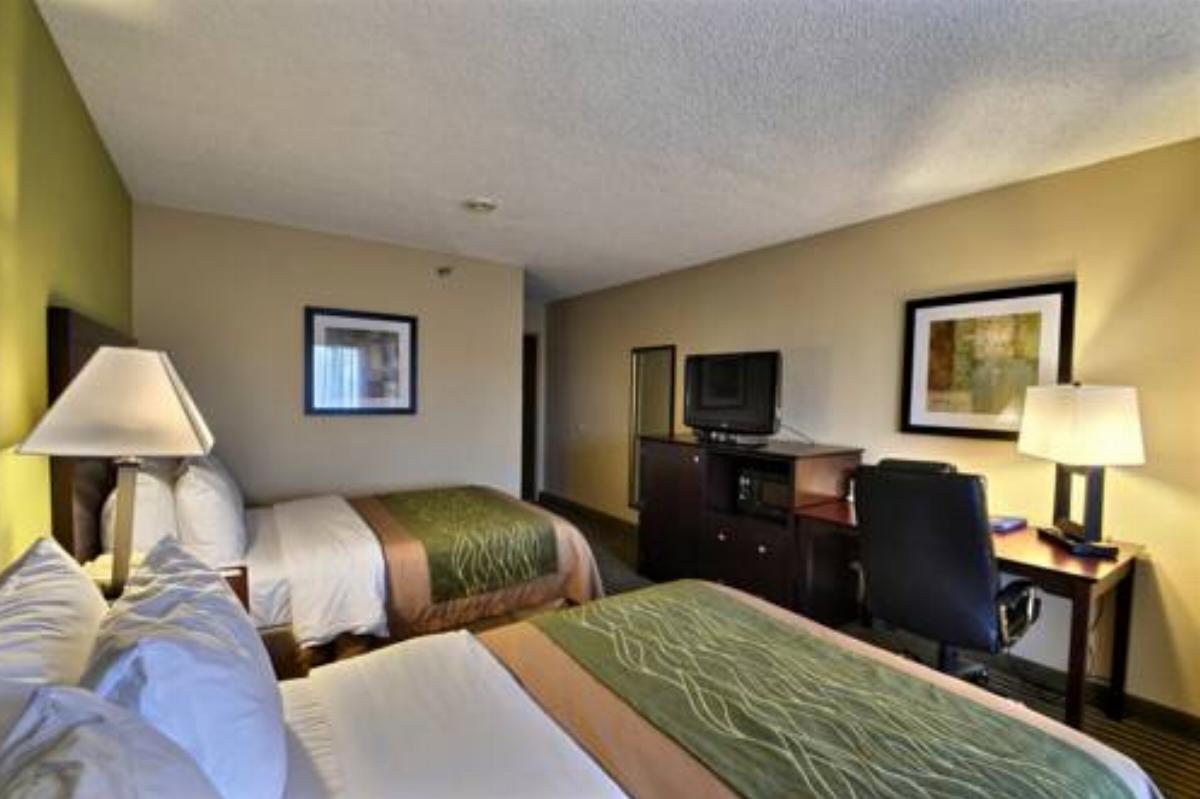 Comfort Inn & Suites Airport Clearwater Hotel Largo USA