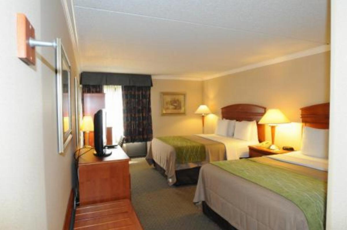 Comfort Inn & Suites Anaheim Hotel Anaheim USA