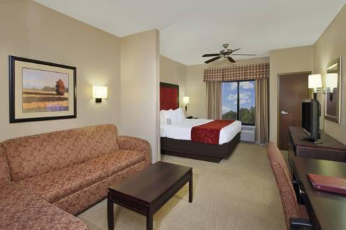 Comfort Suites DFW N/Grapevine Hotel Grapevine USA