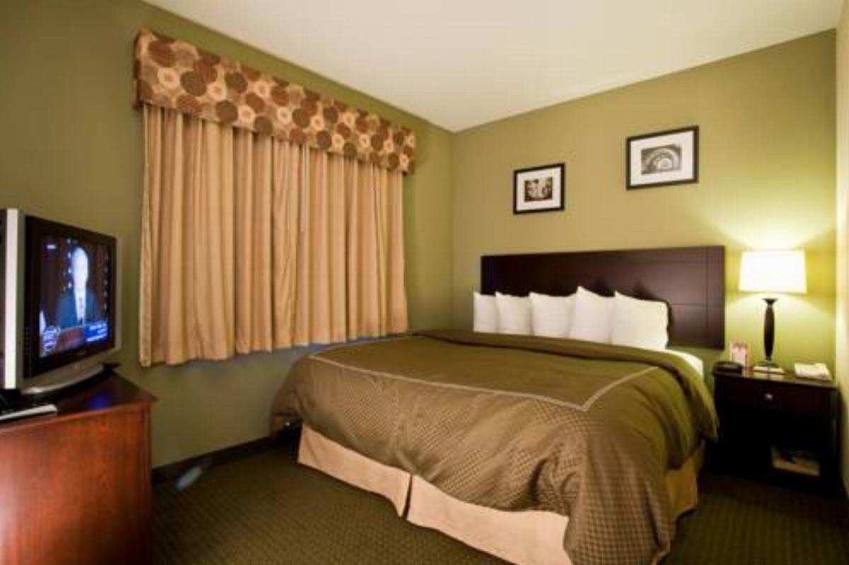 Comfort Suites Elgin Hotel Elgin USA