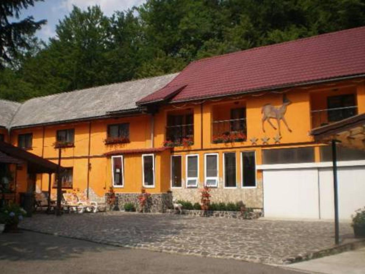 Complex Turistic Caprioara Hotel Baia Mare Romania