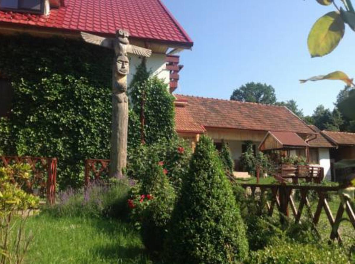 Conacul Bunicilor Hotel Baia de Fier Romania