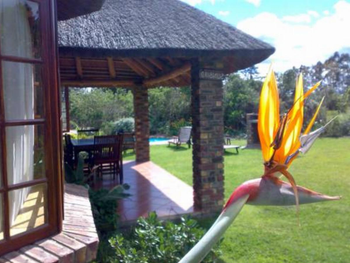 Coral Tree Cottages Hotel Harkerville South Africa