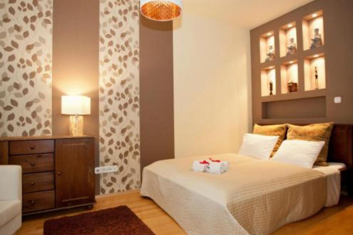 Cosy apartment with roof top terrace Hotel Budapest Hungary