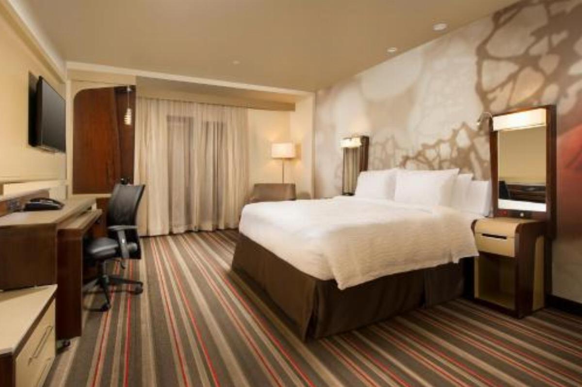 Courtyard by Marriott Dallas DFW Airport North/Grapevine Hotel Grapevine USA