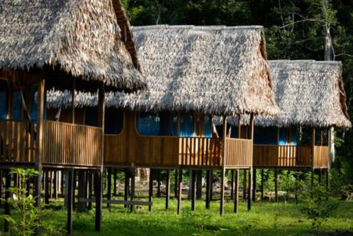 Curassow Amazon Lodge Hotel Paraíso Peru
