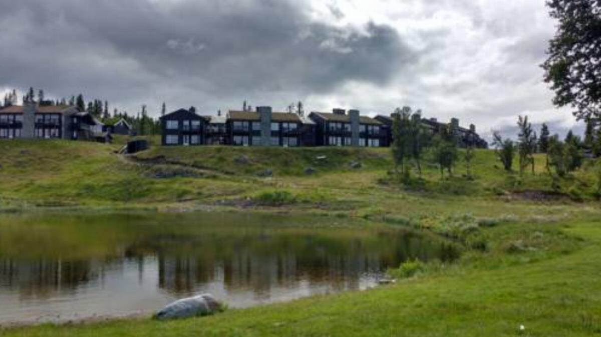 Danebu Apartments Hotel Aurdal Norway