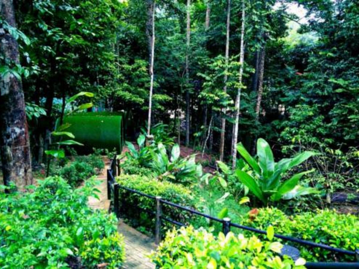 Danz Eco Resort Hotel Kuala Tahan Malaysia