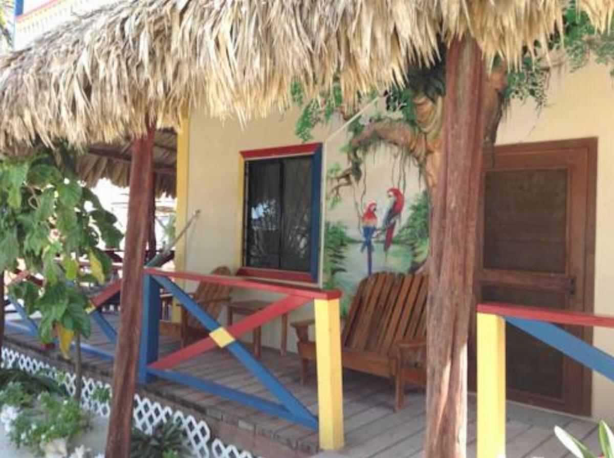 De Real Macaw Hotel Caye Caulker Belize