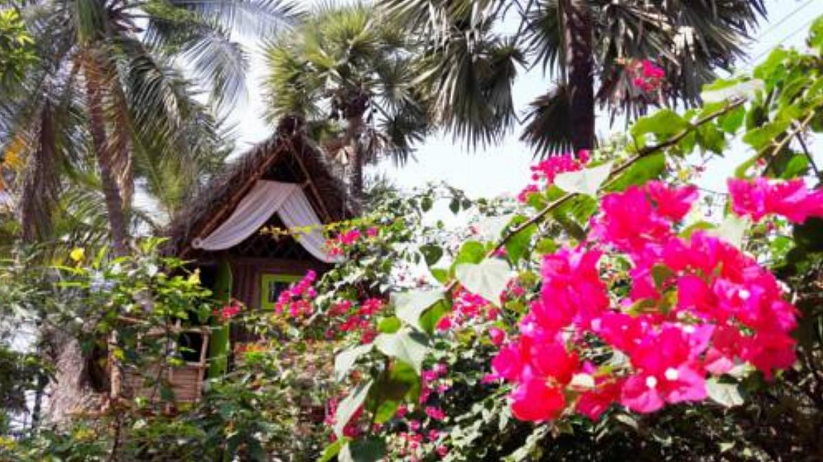 Dharmakanni Tropical Huts Hotel Auroville India