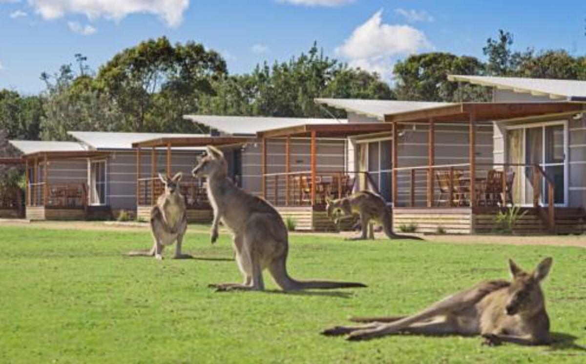 Discovery Parks – Pambula Beach Hotel Pambula Australia
