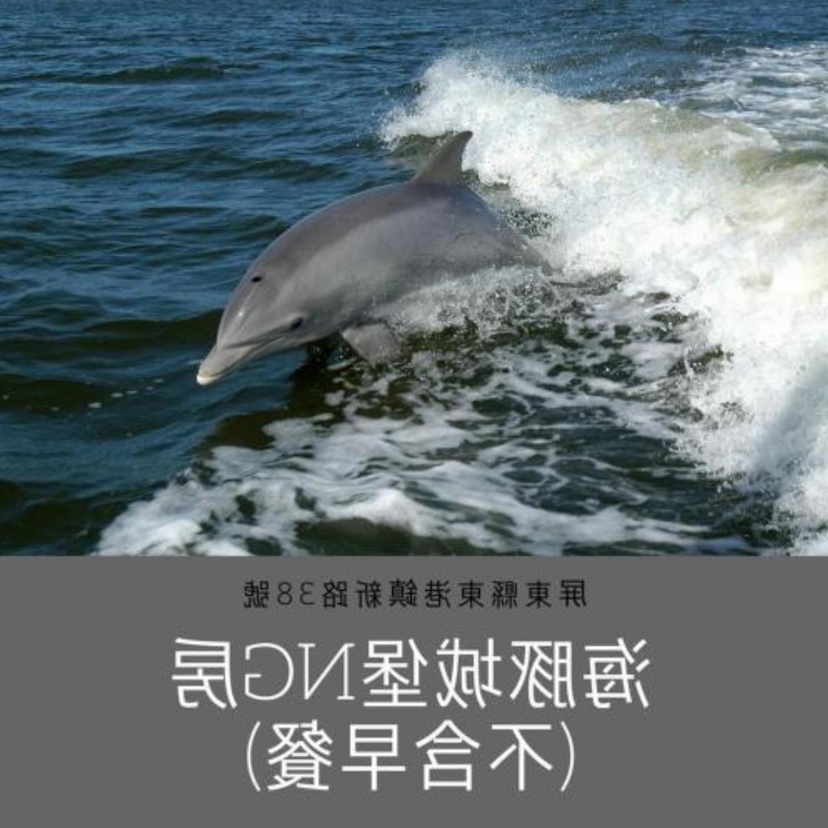 Dolphin Castle Hotel Donggang Taiwan