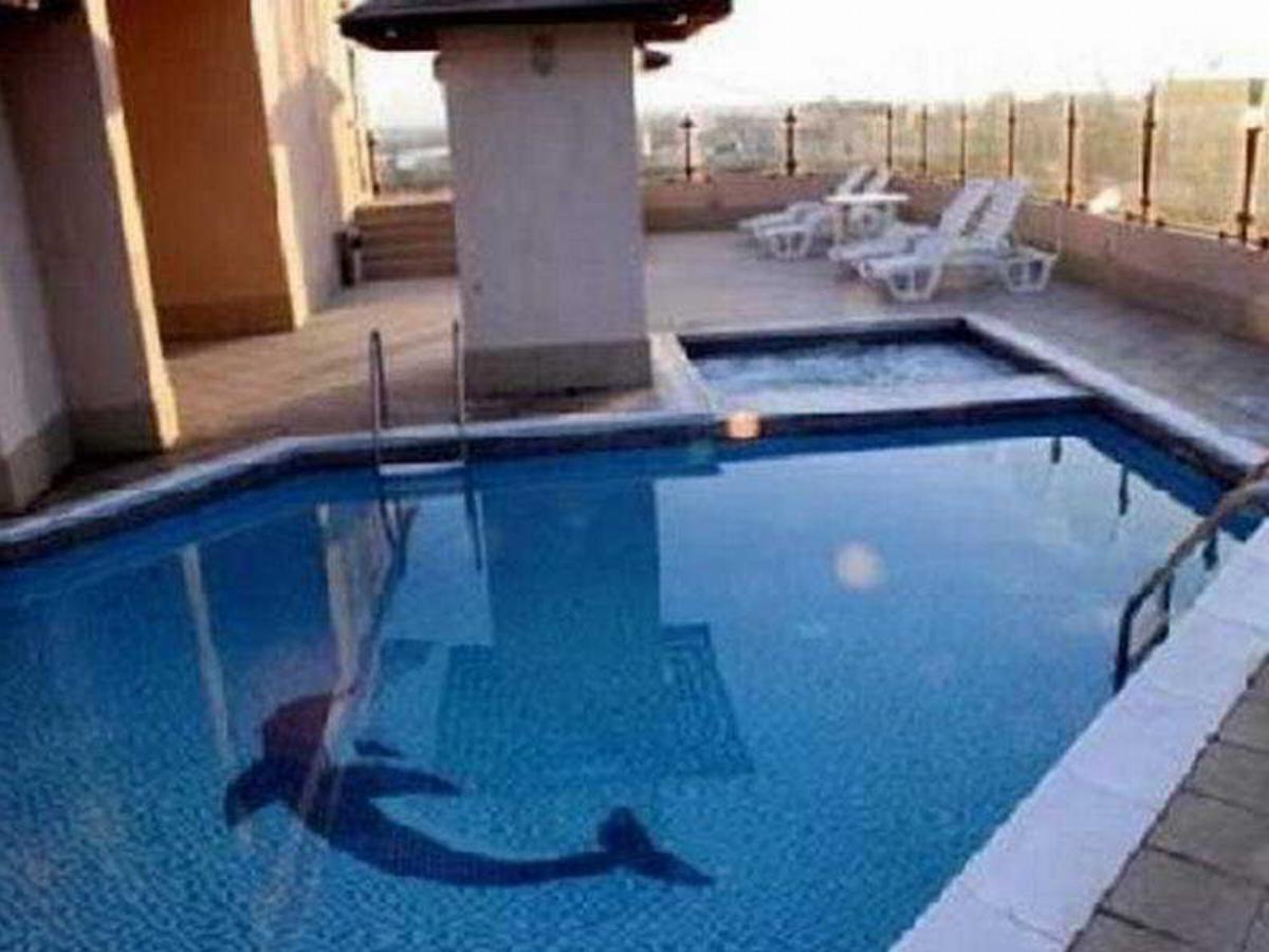 Dolphin Hotel Dubai United Arab Emirates