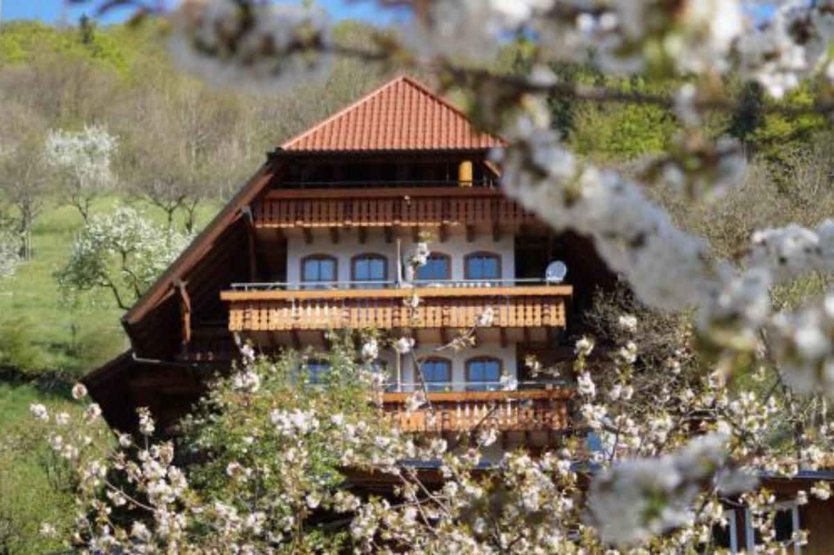 Ehrenmättlehof Faißt Hotel Bad Peterstal-Griesbach Germany