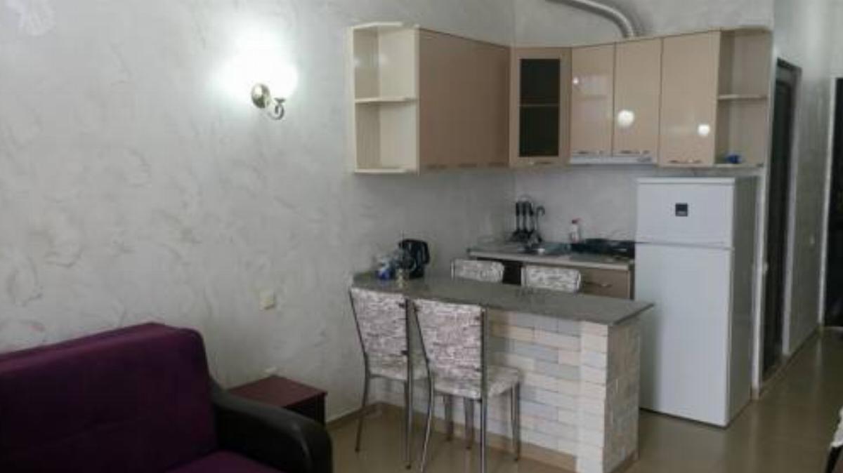 Elia Apartment on Gorgiladze Street 118/120 Hotel Batumi Georgia