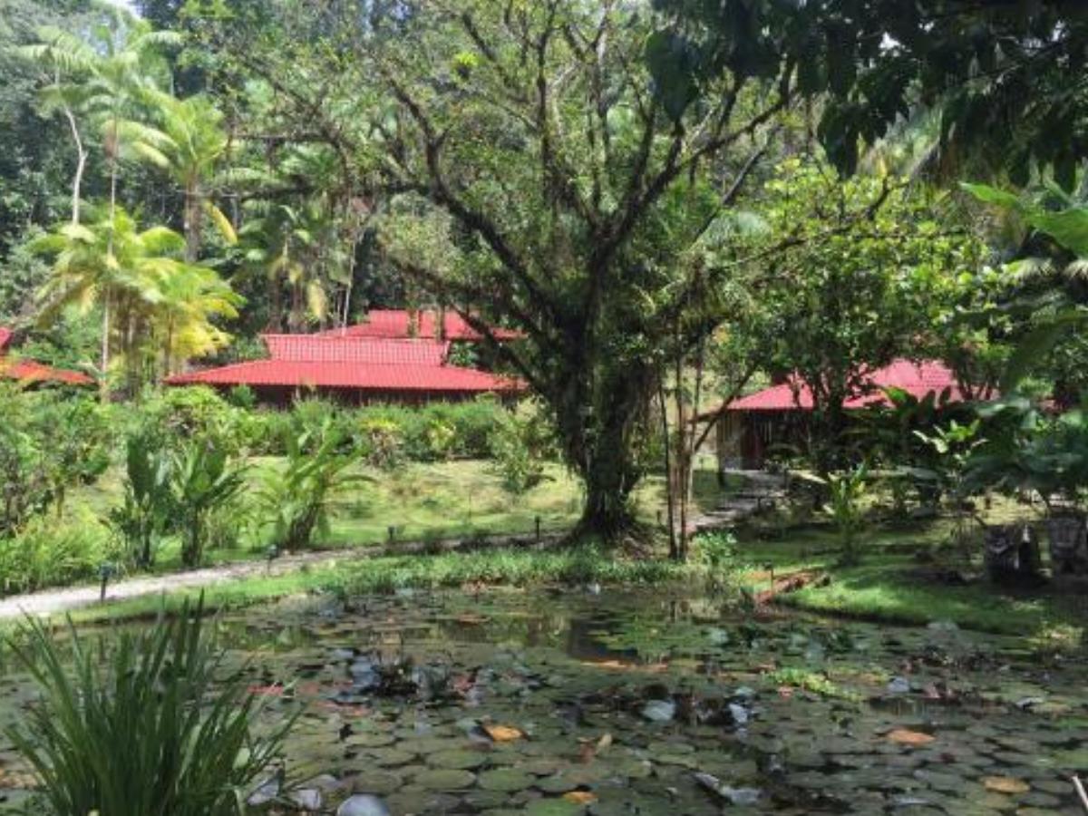 Esquinas Rainforest Lodge Hotel Golfito Costa Rica