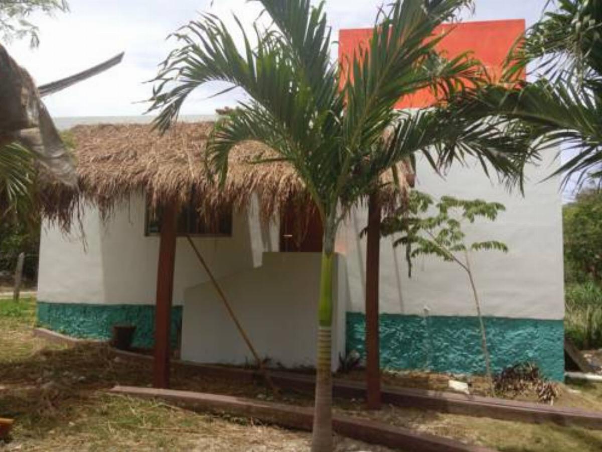 Estudio Palmeras Hotel Isla Mujeres Mexico