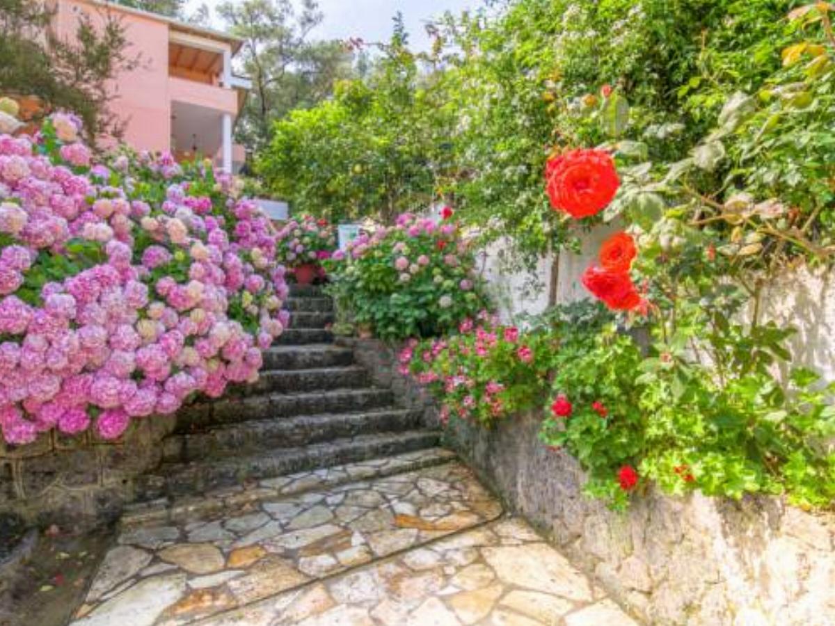 Evergreen Apartments Hotel Agios Gordios Greece