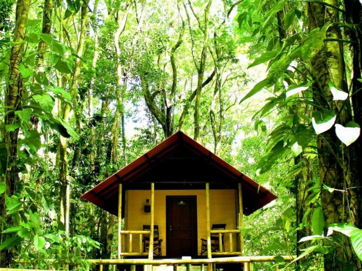 Evergreen Lodge Hotel Caribbean Coast  / Tortuguero Costa Rica