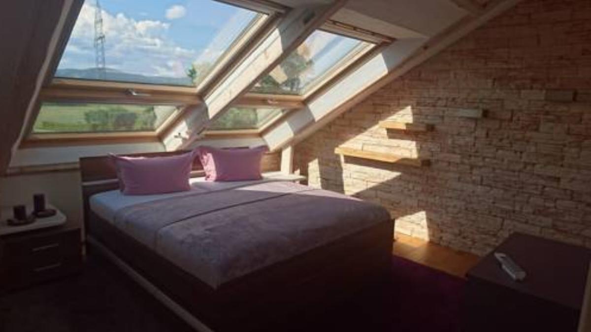Exklusive Dachgeschosswohnung mit Harzblick Hotel Jerstedt Germany