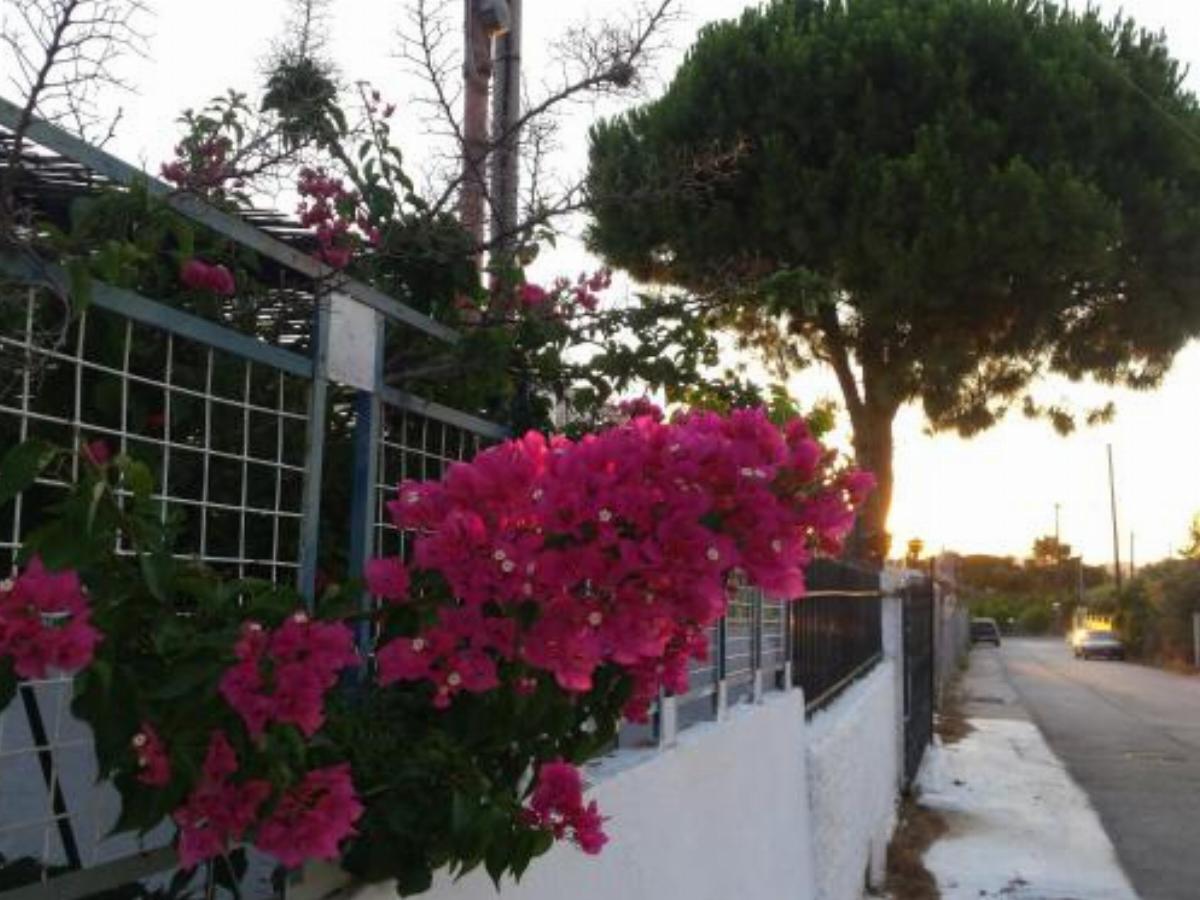 Family house near Athens riviera close to the beach Hotel Anavissos Greece