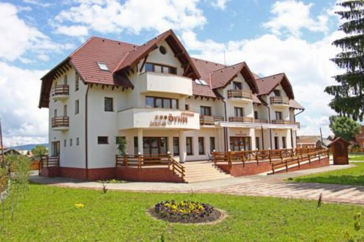 Fenyő Pension Hotel Lăzarea Romania