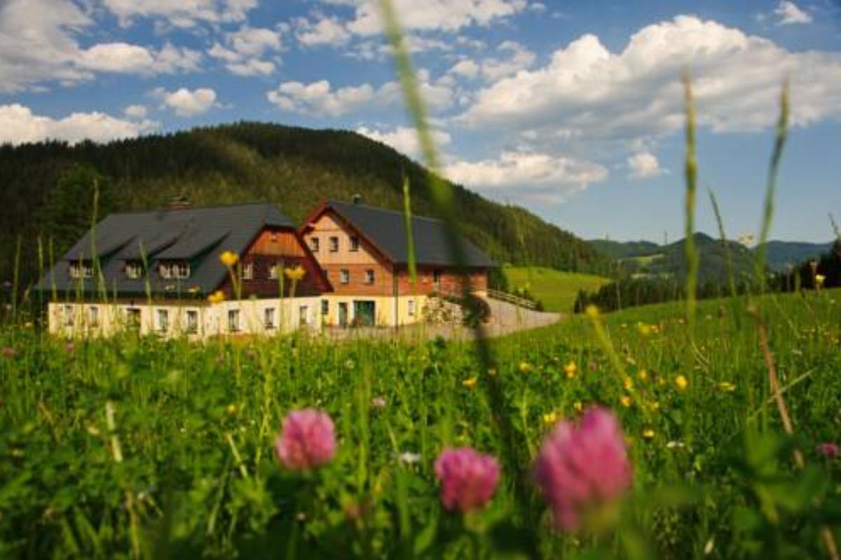 Ferienstadl - Hammerau Hotel Göstling an der Ybbs Austria