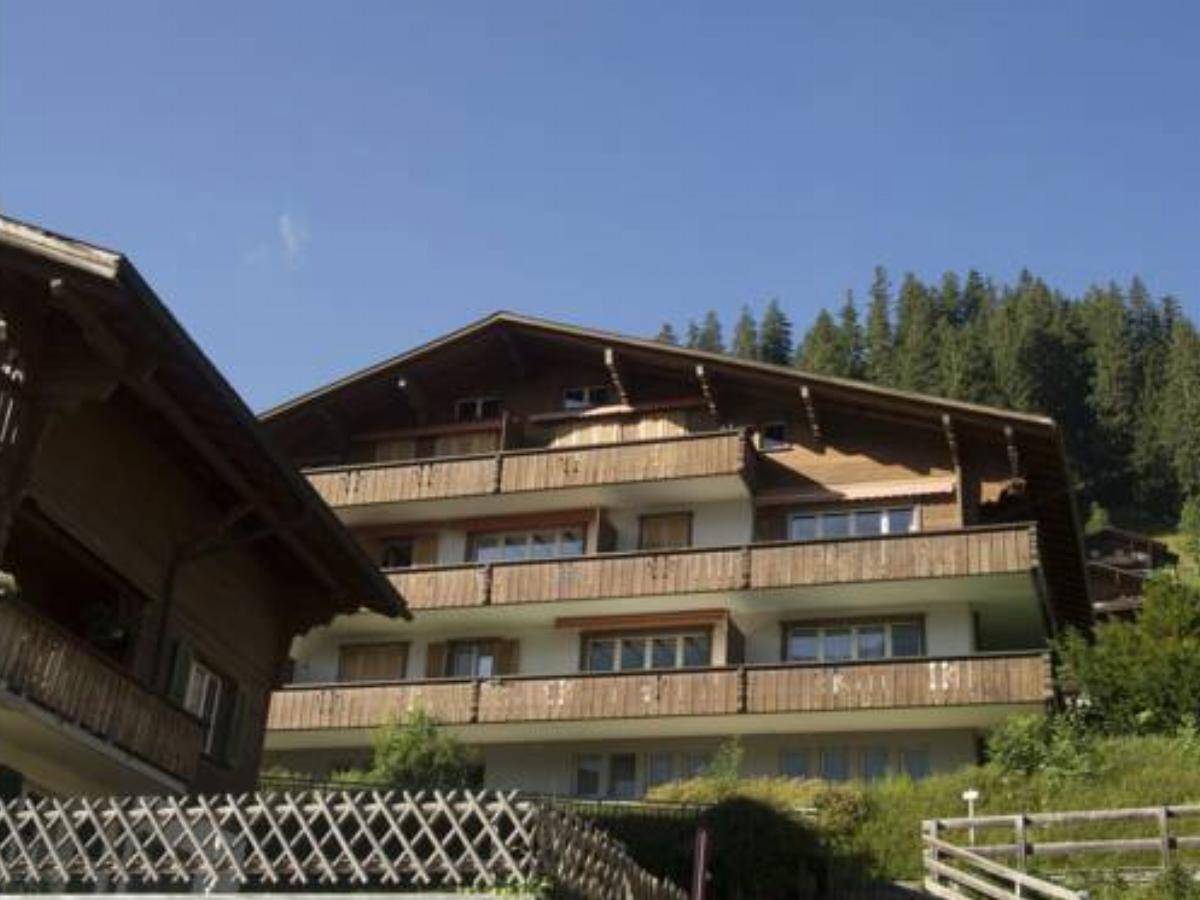 Ferienwohnung Ravinel I AP 1 Hotel Adelboden Switzerland