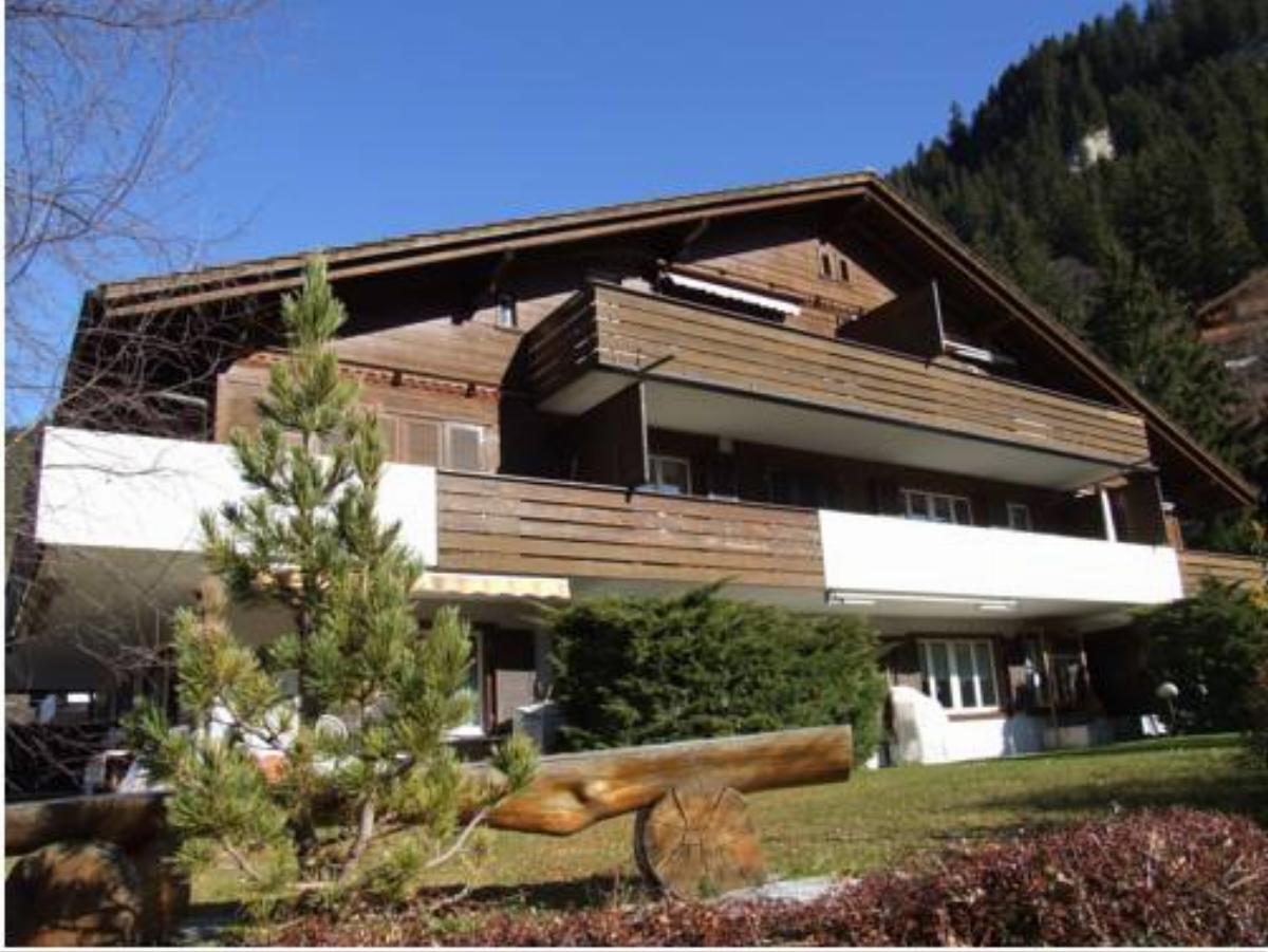 Ferienwohnung Silberdistel Hotel Adelboden Switzerland