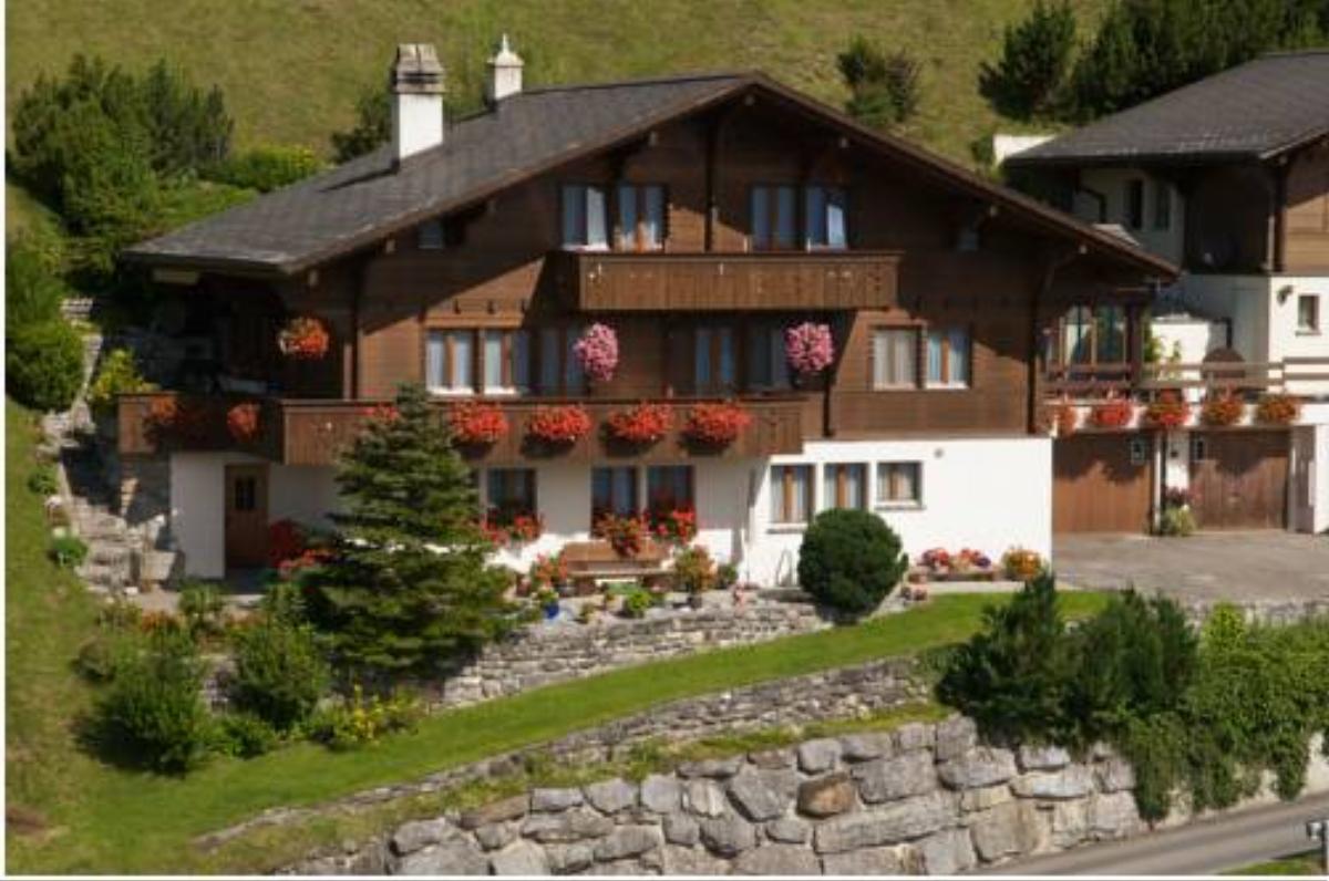 Ferienwohnung & Studio Schaad Hotel Hasliberg Wasserwendi Switzerland
