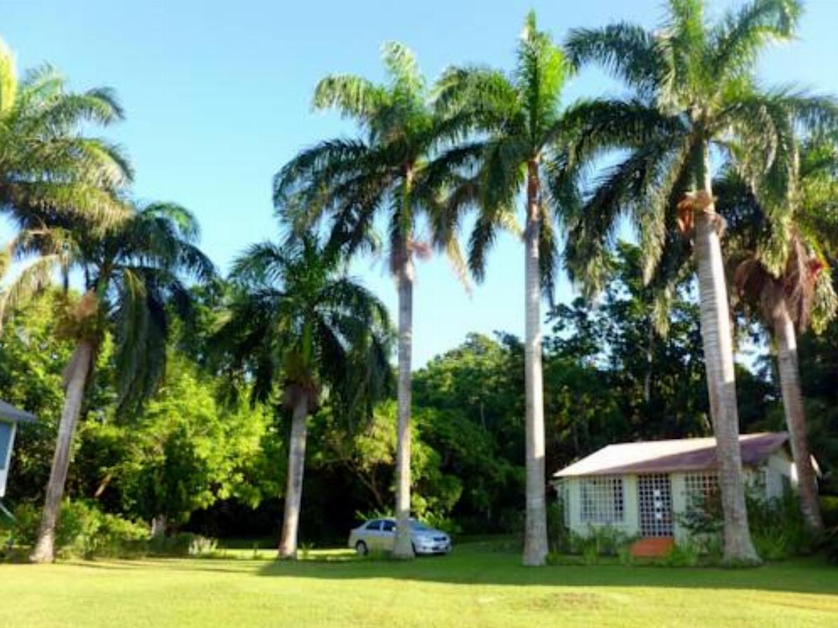 Fern Villa Hotel Boscobel Jamaica
