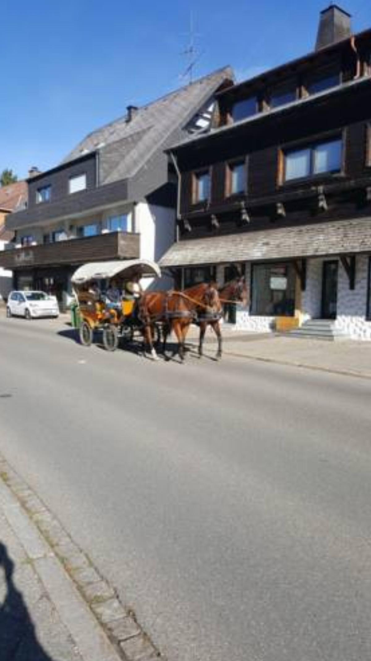 Gemütliche, tolle Ferienwohnung auf Pferdehof Hotel Dauchingen Germany