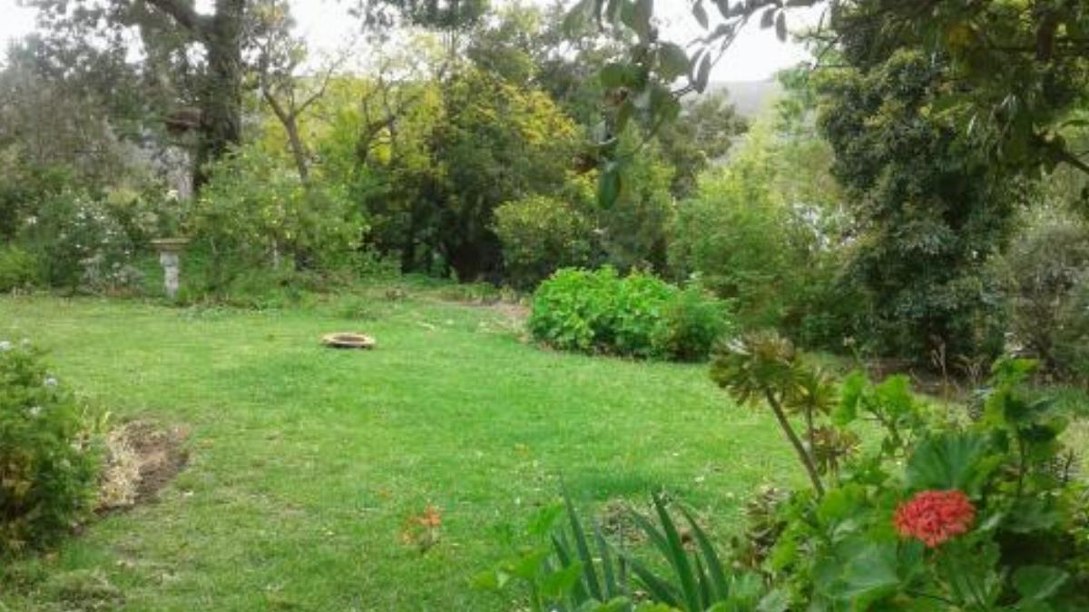 Gila's Artistic Home Hotel Barrydale South Africa