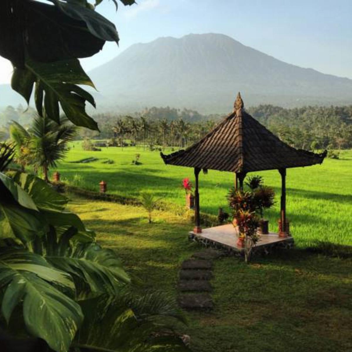 Great Mountain Views Villa Resort Hotel Sidemen Indonesia