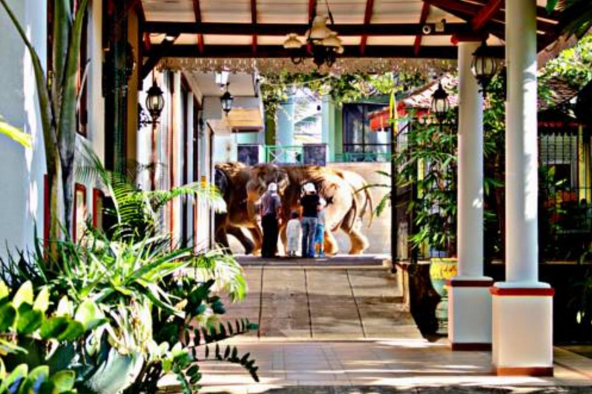 Green Land Guest House Hotel Pinnawala Sri Lanka