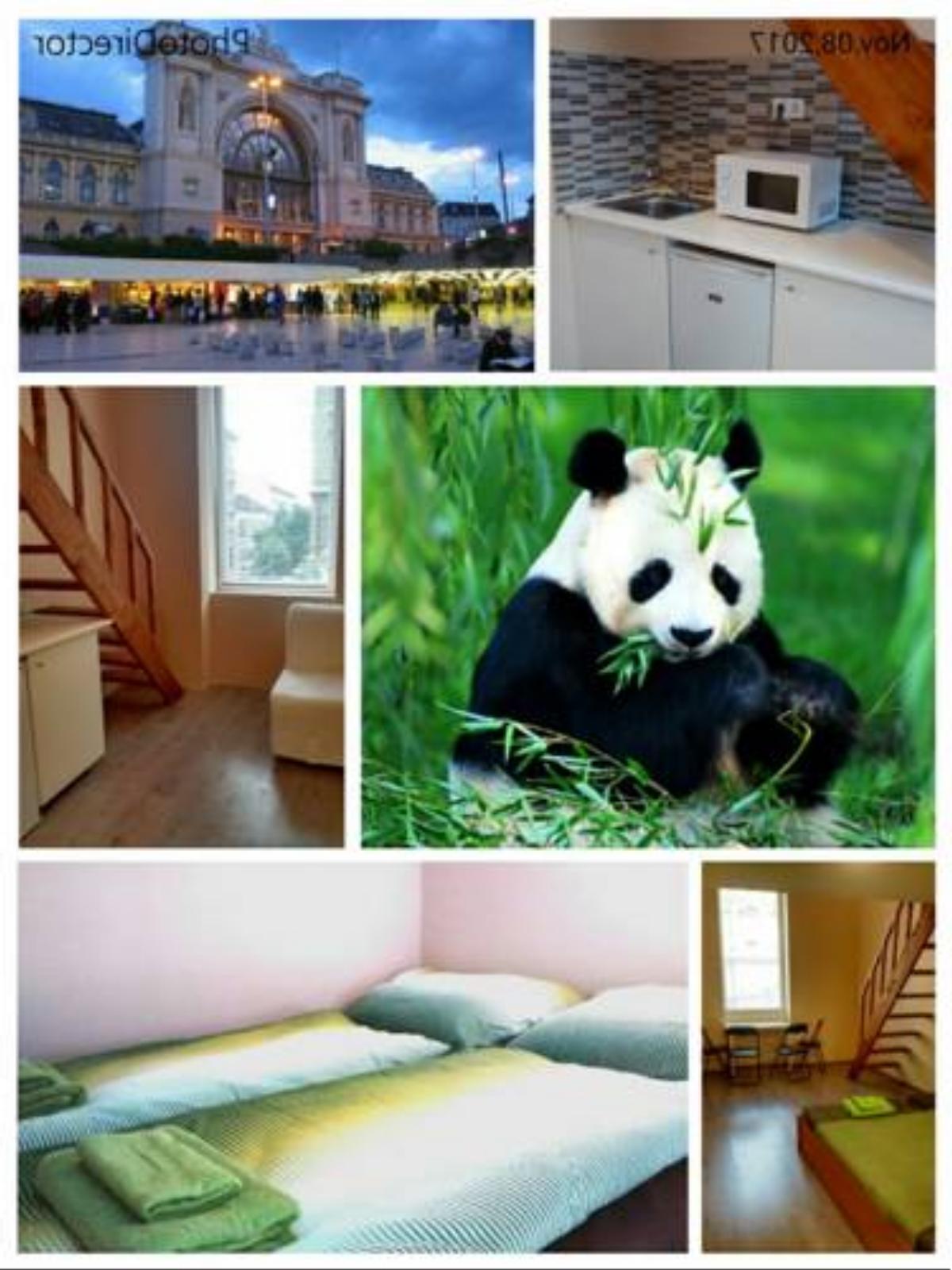 Green Panda Apartments Hotel Budapest Hungary