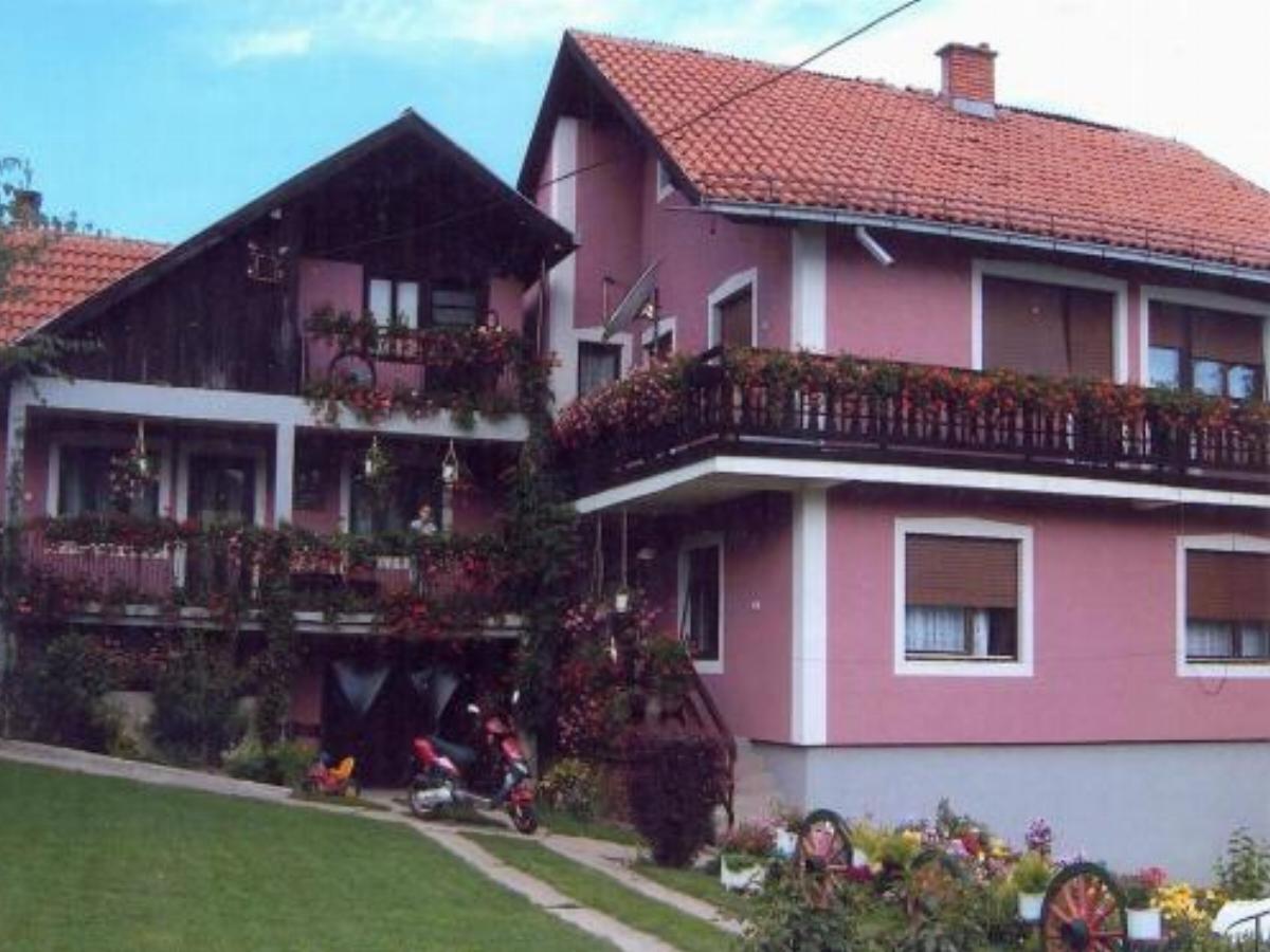 Guest House Savic Hotel Ribarska Banja Serbia